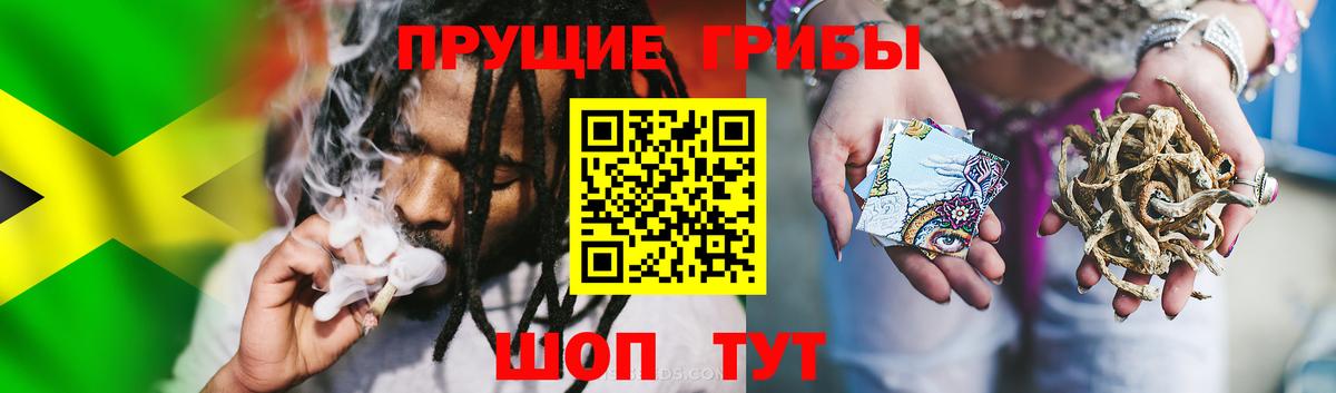 Советск  Псилоцибиновые грибы Magic Shrooms  Вход с VPN 